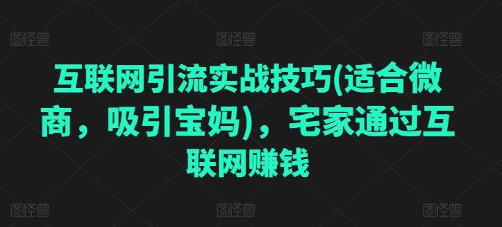 互联网引流实战技巧(适合微商，吸引宝妈)，宅家通过互联网赚钱-东升网创