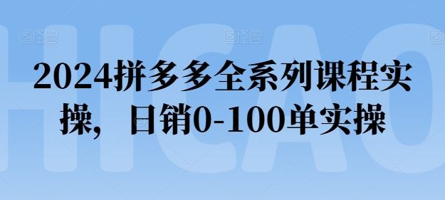 2024拼多多全系列课程实操，日销0-100单实操【必看】-东升网创