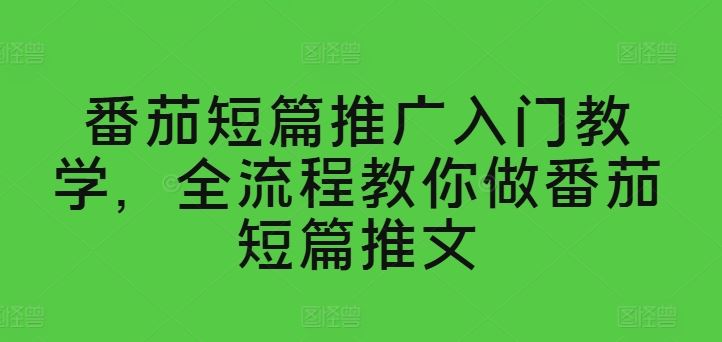 番茄短篇推广入门教学，全流程教你做番茄短篇推文-东升网创