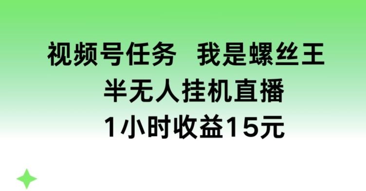 视频号任务，我是螺丝王， 半无人挂机1小时收益15元【揭秘】-东升网创