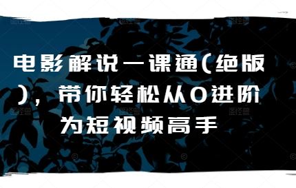 电影解说一课通(绝版)，带你轻松从0进阶为短视频高手-东升网创