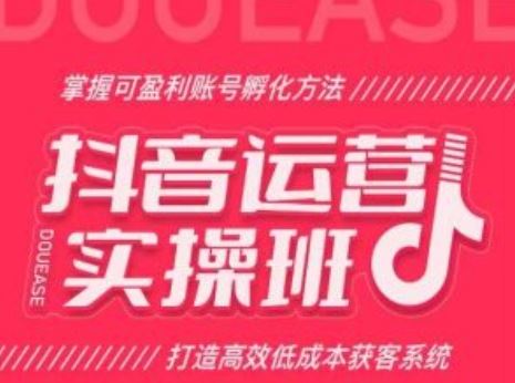 抖音运营实操班，掌握可盈利账号孵化方法，打造高效低成本获客系统-东升网创