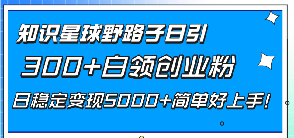 （8315期）知识星球野路子日引300+白领创业粉，日稳定变现5000+简单好上手！-东升网创