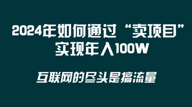 （8382期） 2024年如何通过“卖项目”实现年入100W-东升网创