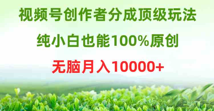 （9608期）视频号创作者分成顶级玩法，纯小白也能100%原创，无脑月入10000+-东升网创