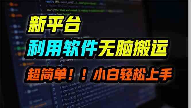 （9745期）新平台用软件无脑搬运，月赚10000+，小白也能轻松上手-东升网创