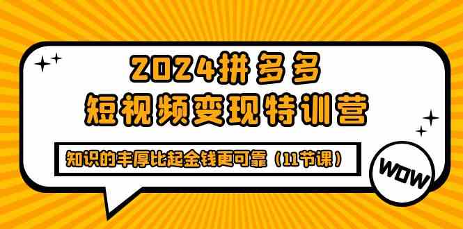 （9817期）2024拼多多短视频变现特训营，知识的丰厚比起金钱更可靠（11节课）-东升网创