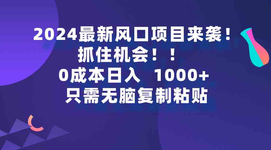 （9899期）2024最新风口项目来袭，抓住机会，0成本一部手机日入1000+，只需无脑复…-东升网创
