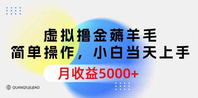 （9864期）虚拟撸金薅羊毛，简单操作，小白当天上手，月收益5000+-东升网创