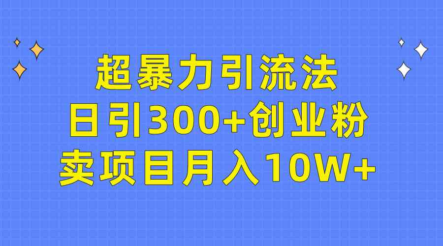 （9954期）超暴力引流法，日引300+创业粉，卖项目月入10W+-东升网创