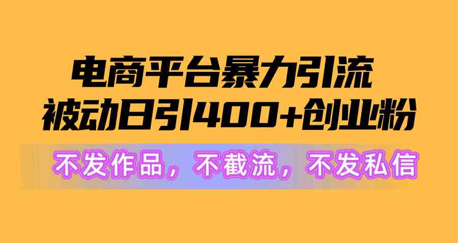 （10168期）电商平台暴力引流,被动日引400+创业粉不发作品，不截流，不发私信-东升网创