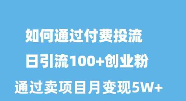 （10189期）如何通过付费投流日引流100+创业粉月变现5W+-东升网创