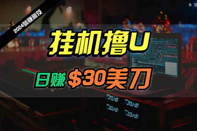 （10013期）日赚30美刀，2024最新海外挂机撸U内部项目，全程无人值守，可批量放大-东升网创