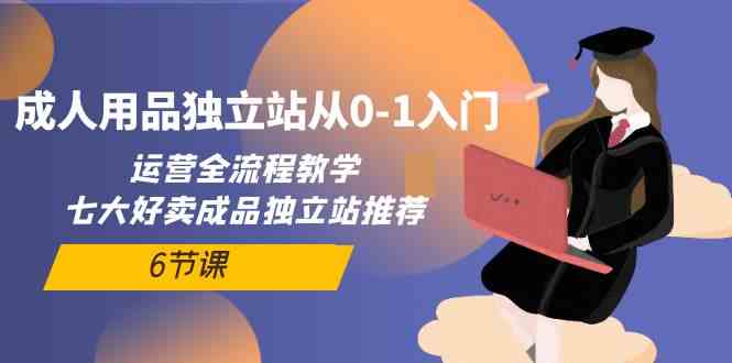 （10082期）成人用品独立站从0-1入门，运营全流程教学，七大好卖成品独立站推荐-6节课-东升网创