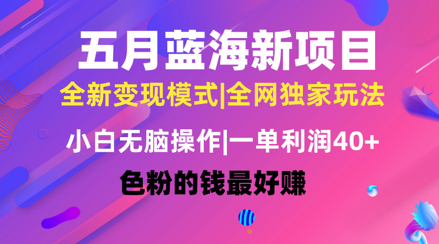 （10477期）五月蓝海项目全新玩法，小白无脑操作，一天几分钟，矩阵操作，月入4万+-东升网创
