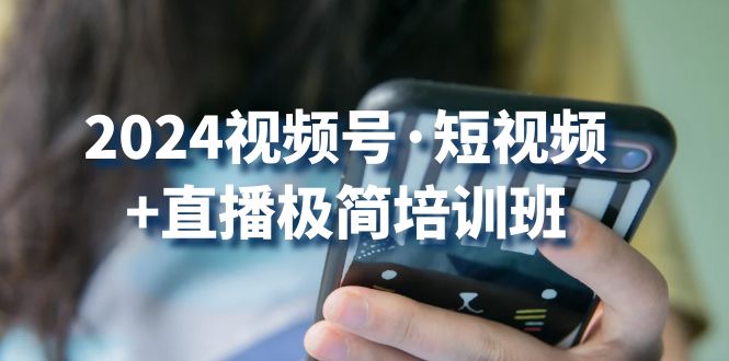 （10797期）2024视频号·短视频+直播极简培训班：抓住视频号风口，流量红利-东升网创