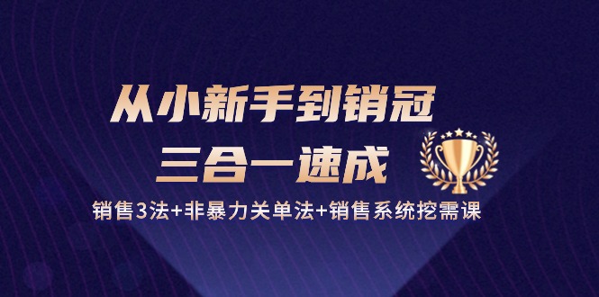 （10799期）从小新手到销冠 三合一速成：销售3法+非暴力关单法+销售系统挖需课 (27节)-东升网创
