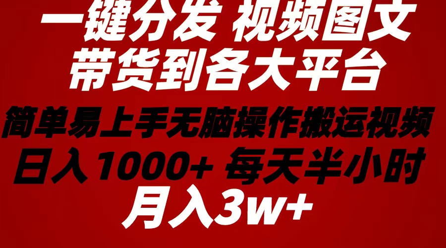 （10667期）2024年 一键分发带货图文视频  简单易上手 无脑赚收益 每天半小时日入1…-东升网创