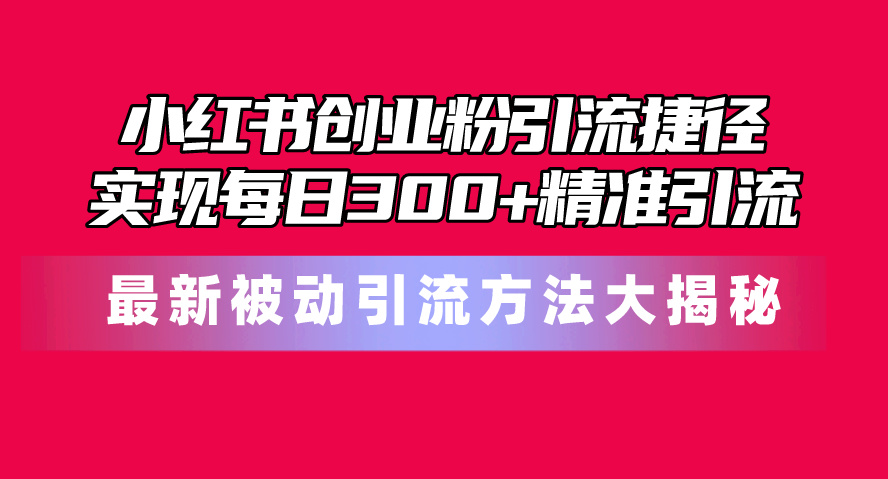 （10692期）小红书创业粉引流捷径！最新被动引流方法大揭秘，实现每日300+精准引流-东升网创
