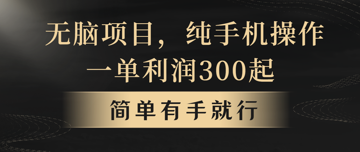 （10589期）无脑项目，一单几百块，轻松月入5w+，看完就能直接操作-东升网创