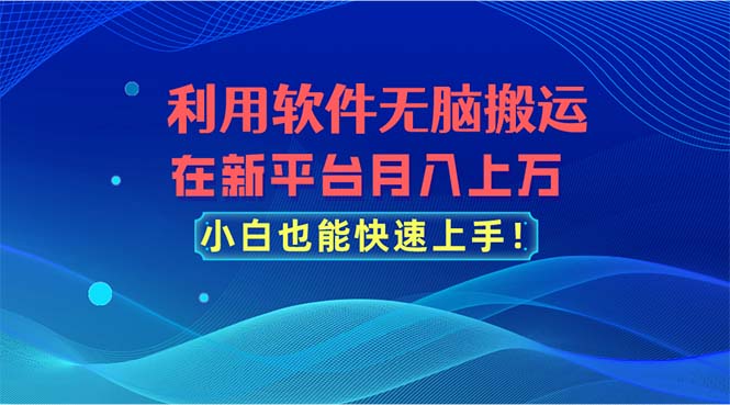 （11078期）利用软件无脑搬运，在新平台月入上万，小白也能快速上手-东升网创
