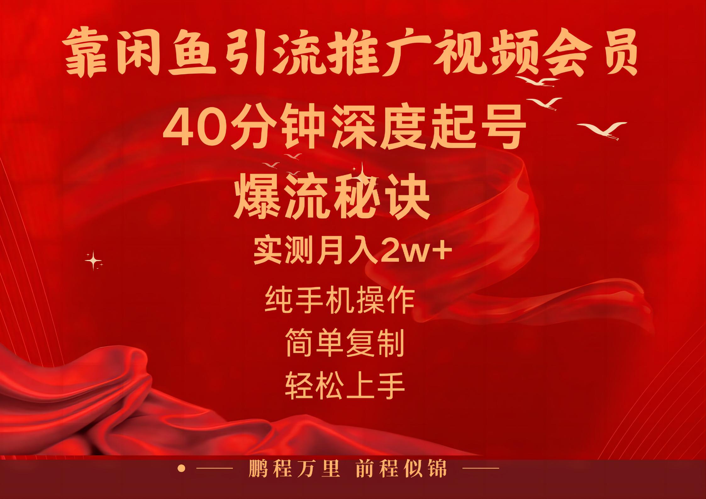 （10896期）闲鱼暴力引流推广视频会员，能做到日入2W+，操作简单-东升网创
