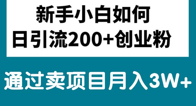 （10843期）新手小白日引流200+创业粉,通过卖项目月入3W+-东升网创