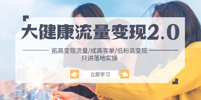 （10871期）大健康 流量 变现2.0：拓高变现 流量/成高客单/低粉高变现/只讲落地实战-东升网创