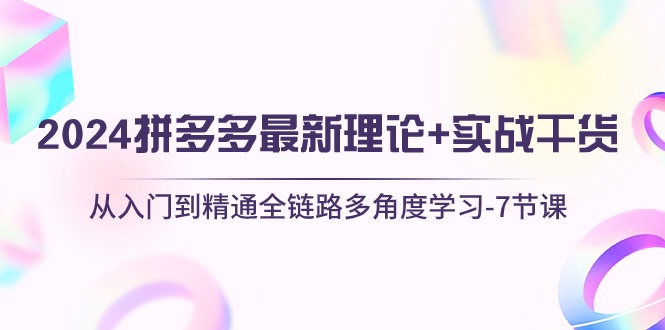 （10816期）2024拼多多 最新理论+实战干货，从入门到精通全链路多角度学习-7节课-东升网创