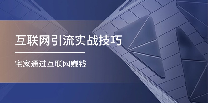 （11108期）互联网引流实操技巧(适合微商，吸引宝妈)，宅家通过互联网赚钱（17节）-东升网创
