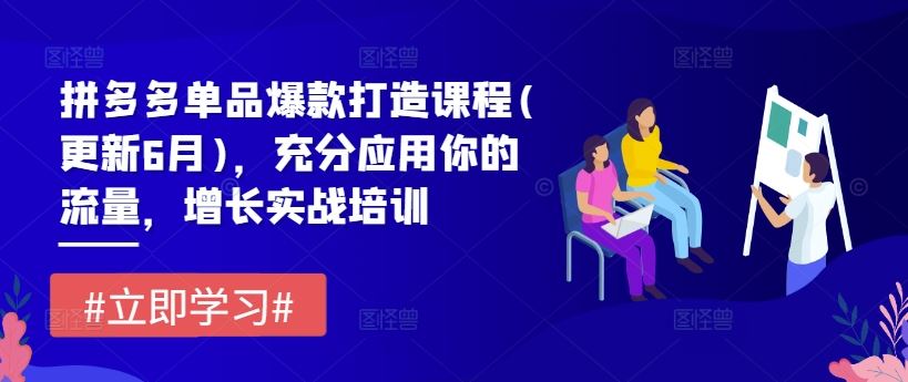 拼多多单品爆款打造课程(更新6月)，充分应用你的流量，增长实战培训-东升网创