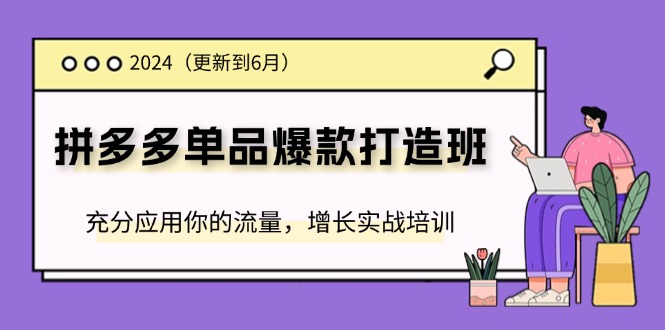 （11556期）2024拼多多-单品爆款打造班(更新6月)，充分应用你的流量，增长实战培训-东升网创