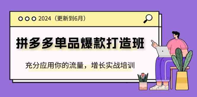 2024拼多多单品爆款打造班，充分应用你的流量，增长实战培训(更新6月)-东升网创