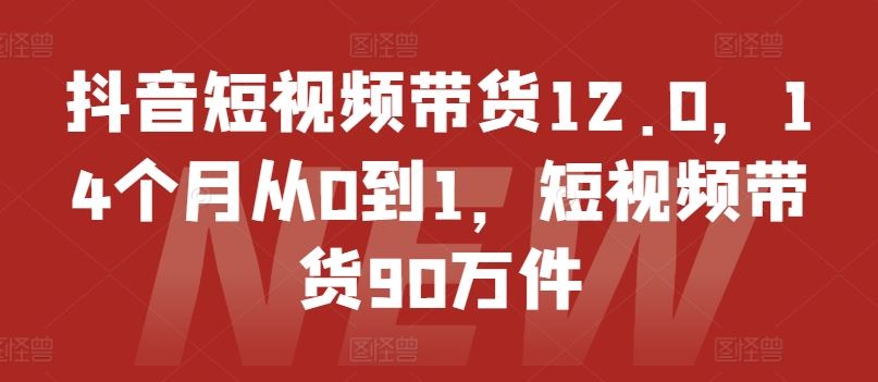 抖音短视频带货12.0，14个月从0到1，短视频带货90万件-东升网创