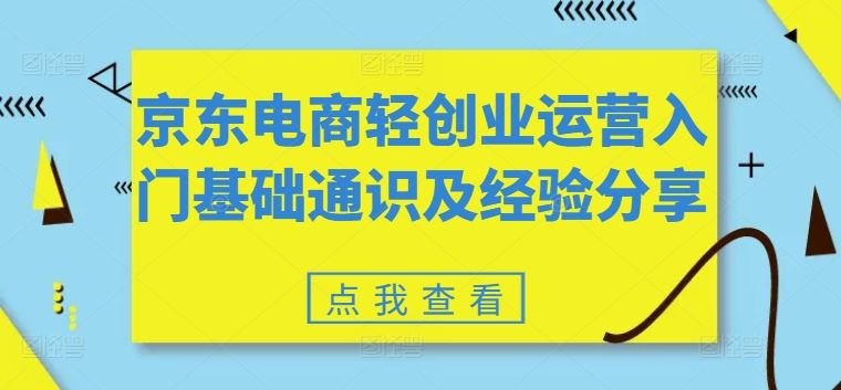 京东电商轻创业运营入门基础通识及经验分享-东升网创