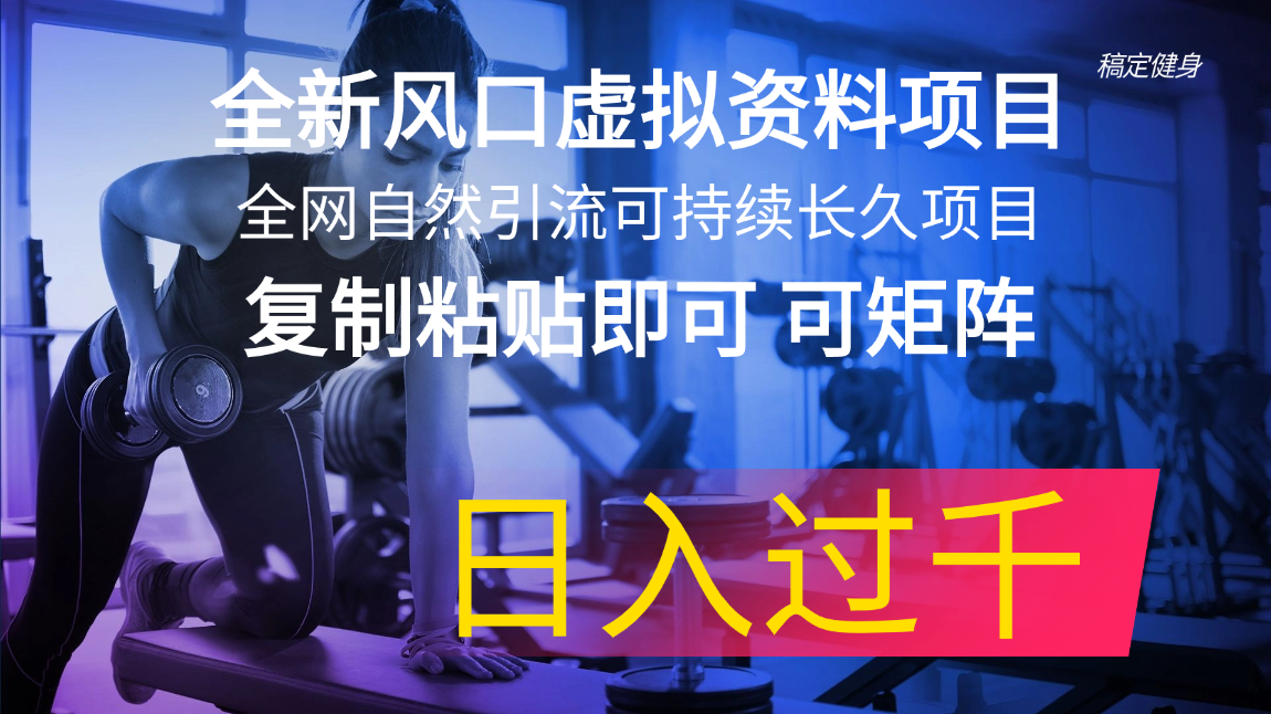 （11587期）全新风口虚拟资料项目 全网自然引流可持续长久项目 复制粘贴即可可矩阵…-东升网创