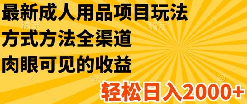 最新成人用品项目玩法，方式方法全渠道，轻松日入2K+【揭秘】-东升网创