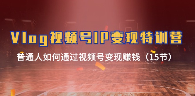 Vlog视频号IP变现特训营，普通人如何通过视频号变现赚钱（15节）-东升网创