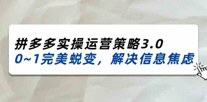 2024-2025拼多多实操运营策略3.0，0~1完美蜕变，解决信息焦虑（38节）-东升网创