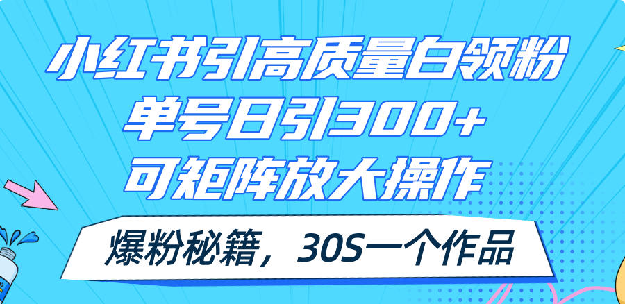（11692期）小红书引高质量白领粉，单号日引300+，可放大操作，爆粉秘籍！30s一个作品-东升网创