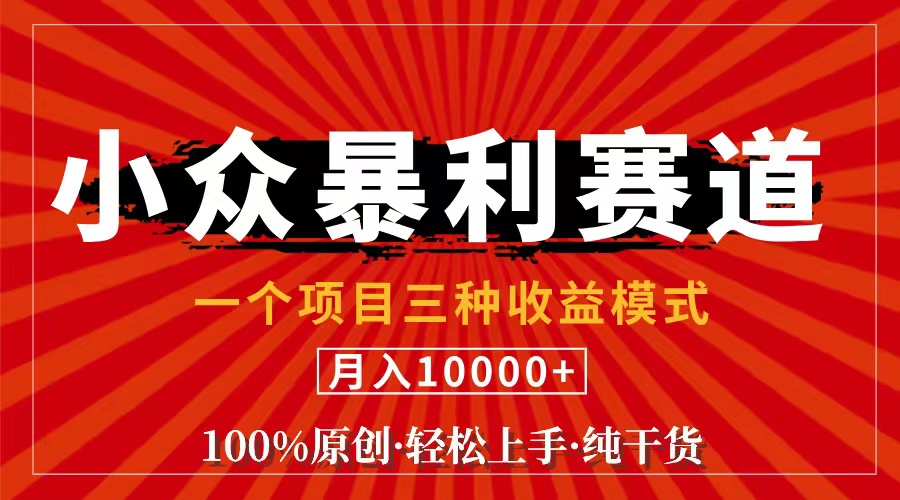 （11695期）视频号【中老年粉深信不疑】小众赛道 100%原创 手把手教学 新号3天收益…-东升网创