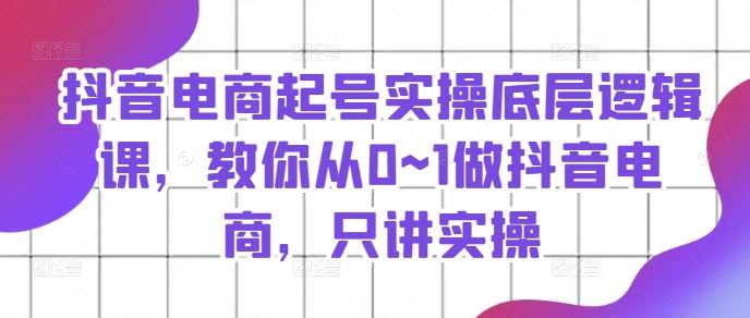 抖音电商起号实操底层逻辑课，教你从0~1做抖音电商，只讲实操-东升网创