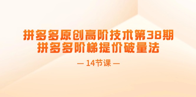（11704期）拼多多原创高阶技术第38期，拼多多阶梯提价破量法（14节课）-东升网创