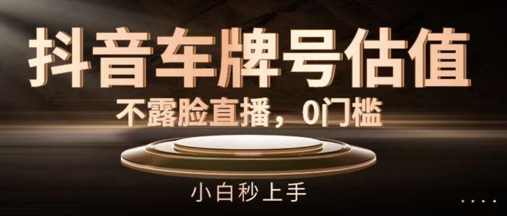 抖音车牌号估值，不露脸直播，0门槛，小白秒上手【揭秘】-东升网创