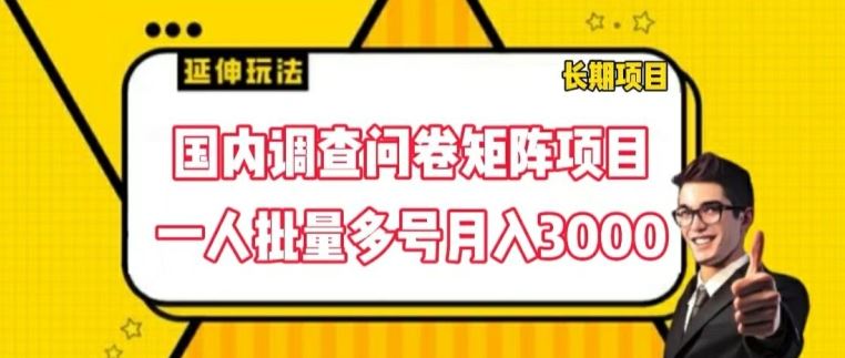 国内调查问卷矩阵项目，一人批量多号月入3000【揭秘】-东升网创