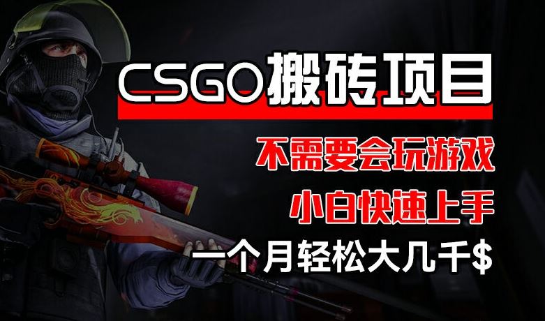 CSGO 装备搬砖项目，操作简单，不需要会玩游戏，小白也能快速上手，一个月轻松大几千【揭秘】-东升网创