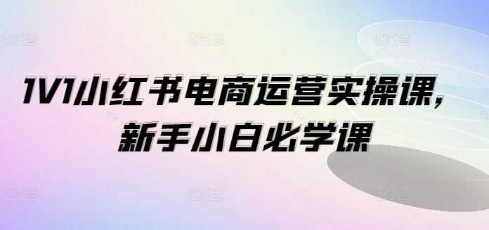 1V1小红书电商运营实操课，新手小白必学课-东升网创