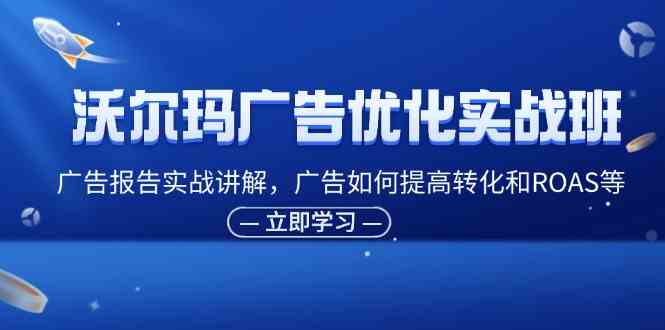 沃尔玛广告优化实战班，广告报告实战讲解，广告如何提高转化和ROAS等-东升网创