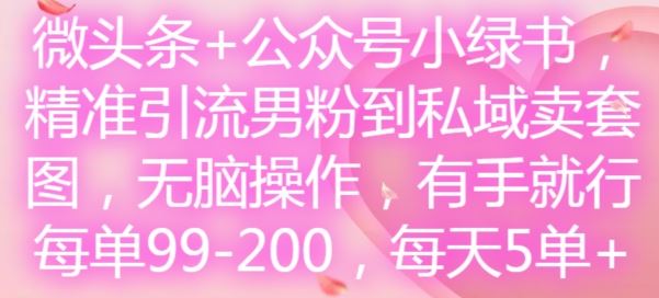 微头条+公众号小绿书，精准引流男粉到私域卖套图，无脑操作，有手就行，每单99-200，每天5单-东升网创