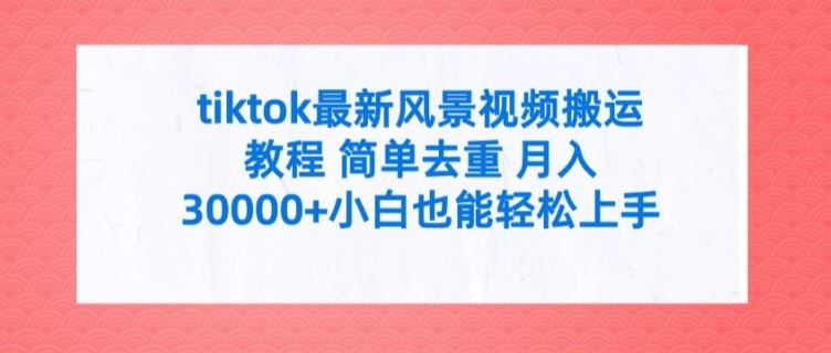 tiktok最新风景视频搬运教程 简单去重 月入3W+小白也能轻松上手【揭秘】-东升网创